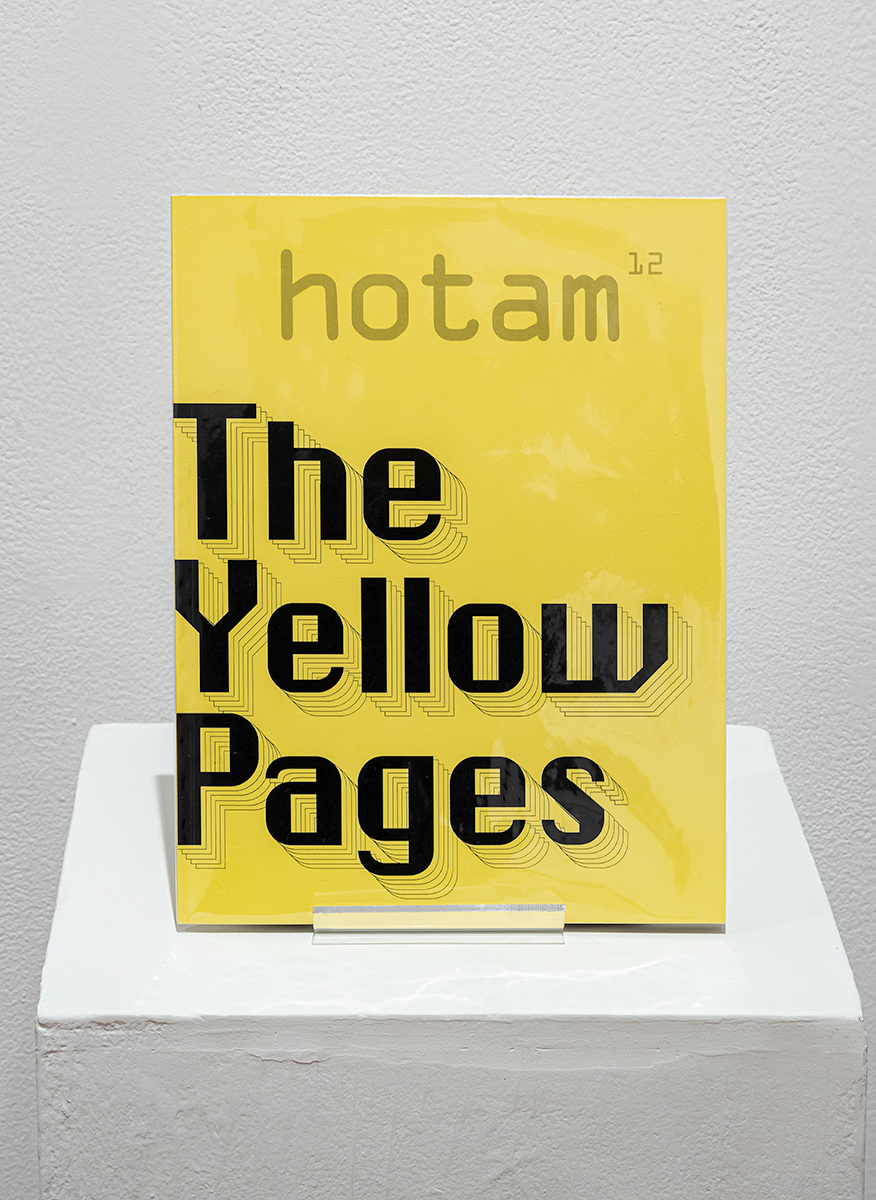     Installation view of Ho Tam, The Yellow Pages, 2020.

