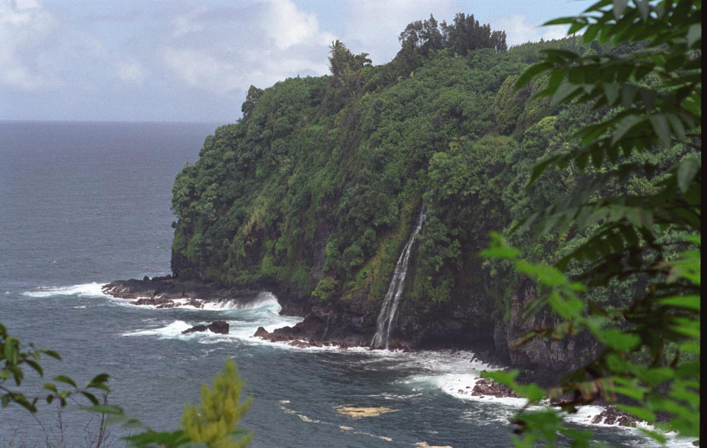     Frank Greco, Big Island Coast
