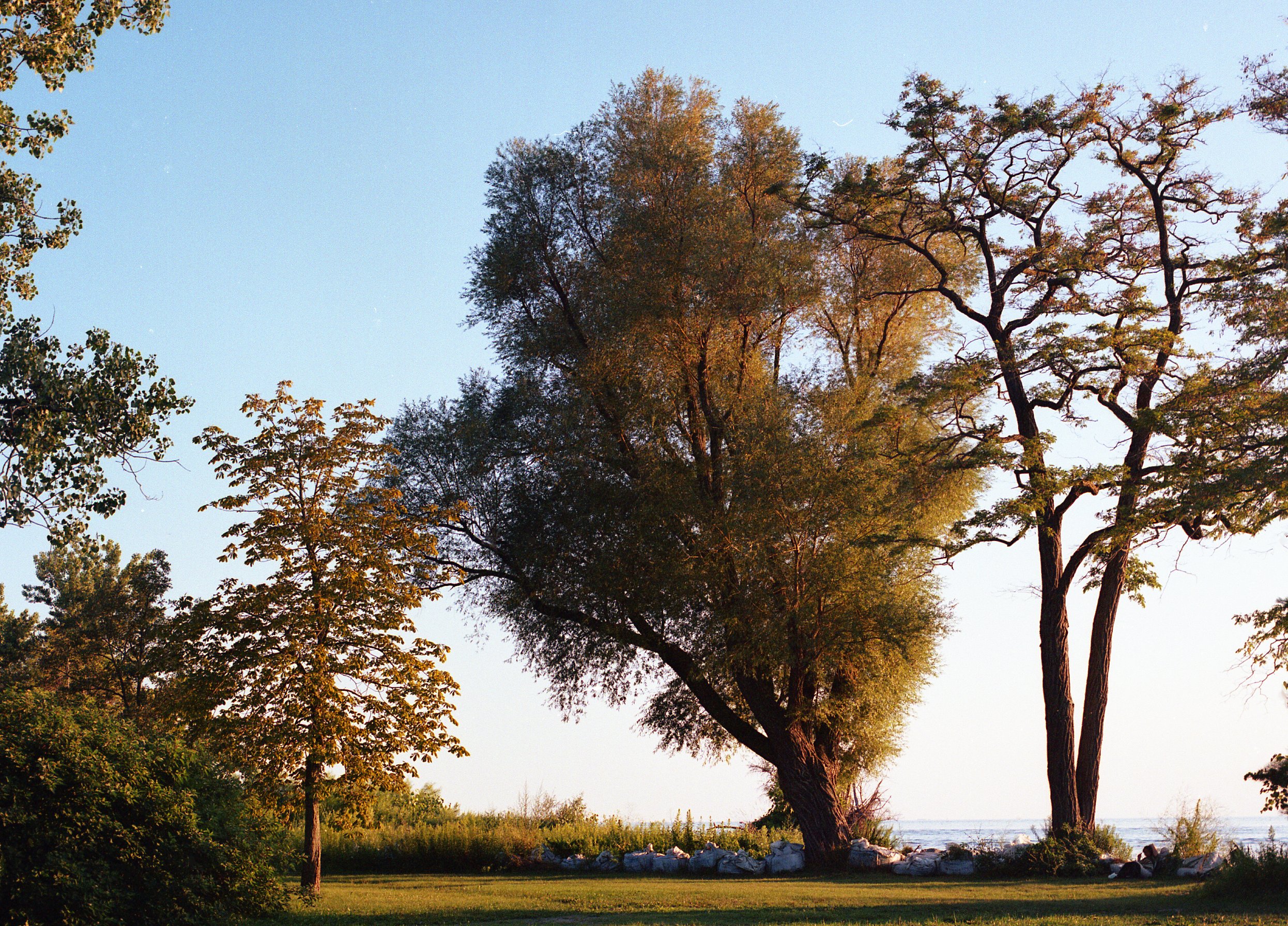     Stephen Attong, Midsummer On The Island, 2020

