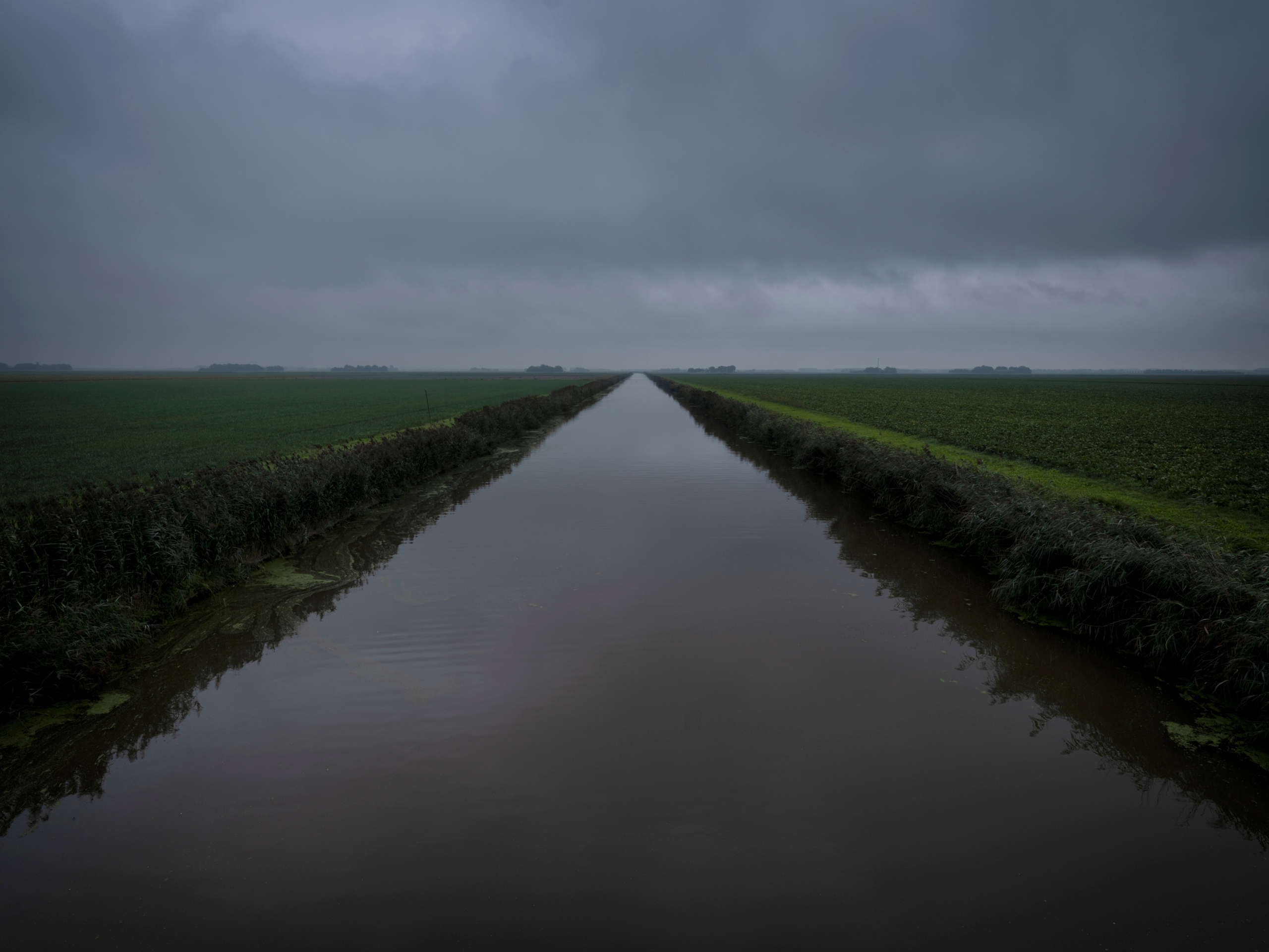     Jason van Bruggen, Farm Fields, Flevoland Polder, 2020

