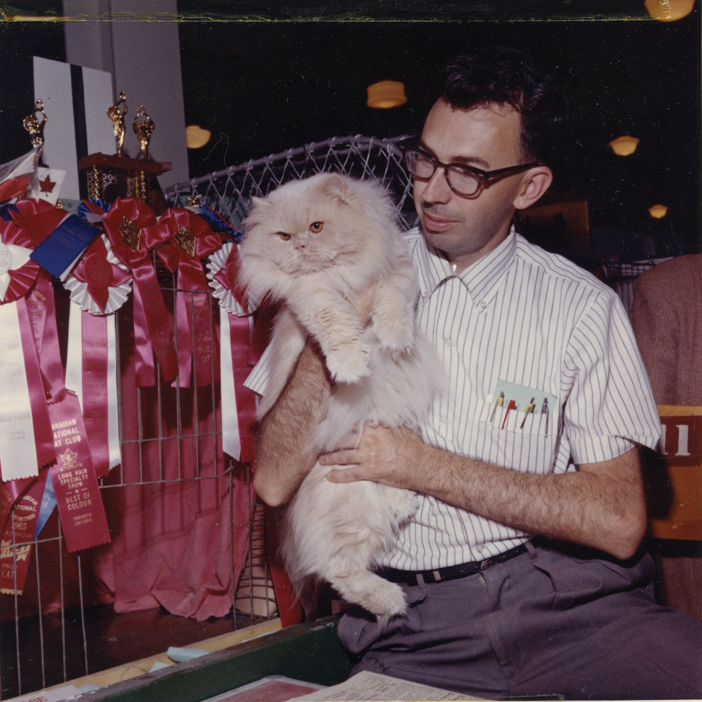 Cat Show, 1965. Canadian National Exhibition Archives, Slides 36-2. Courtesy of the CNEA