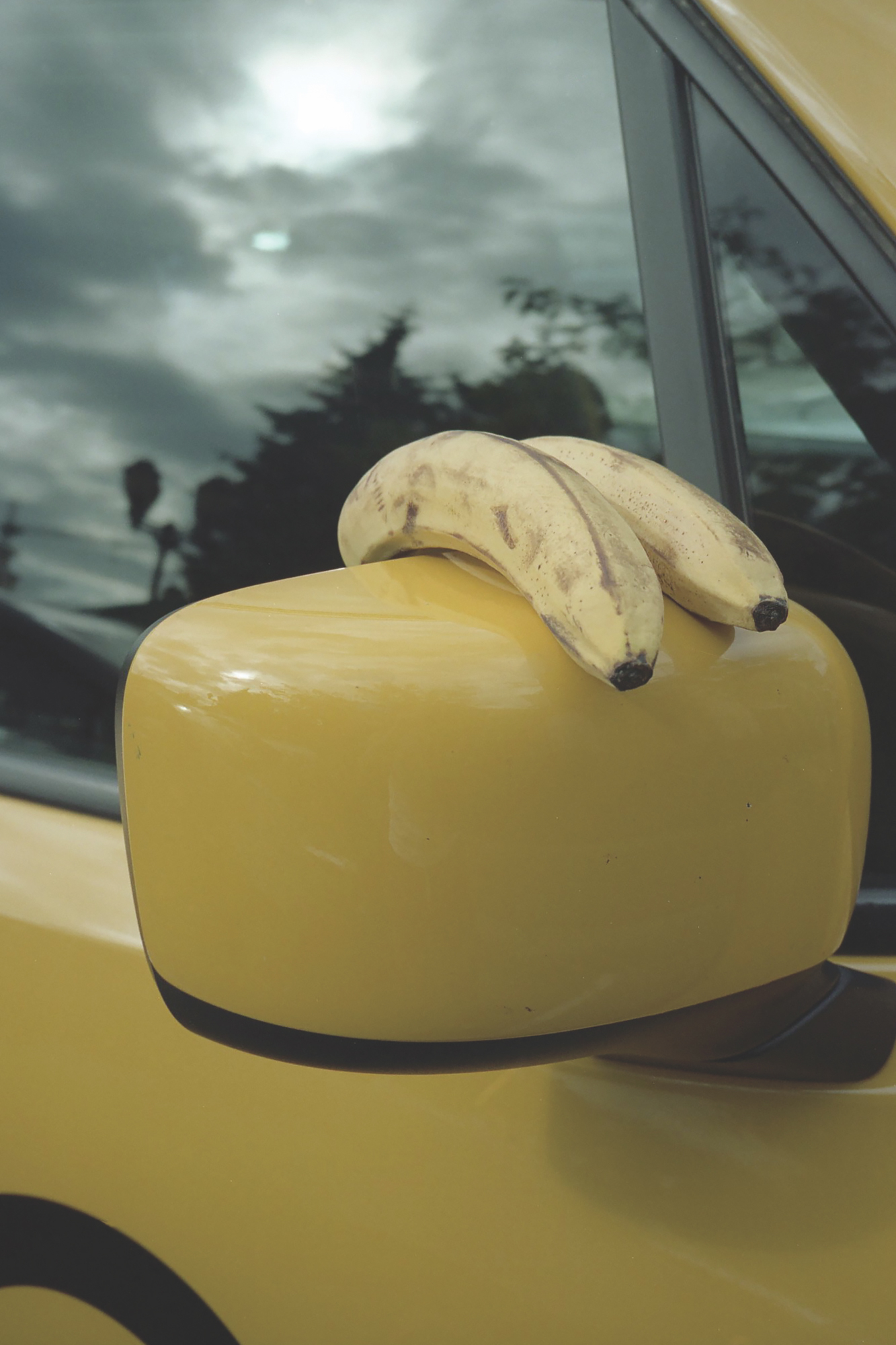 Tom Hsu, Two Bananas, 2018. Courtesy of the artist