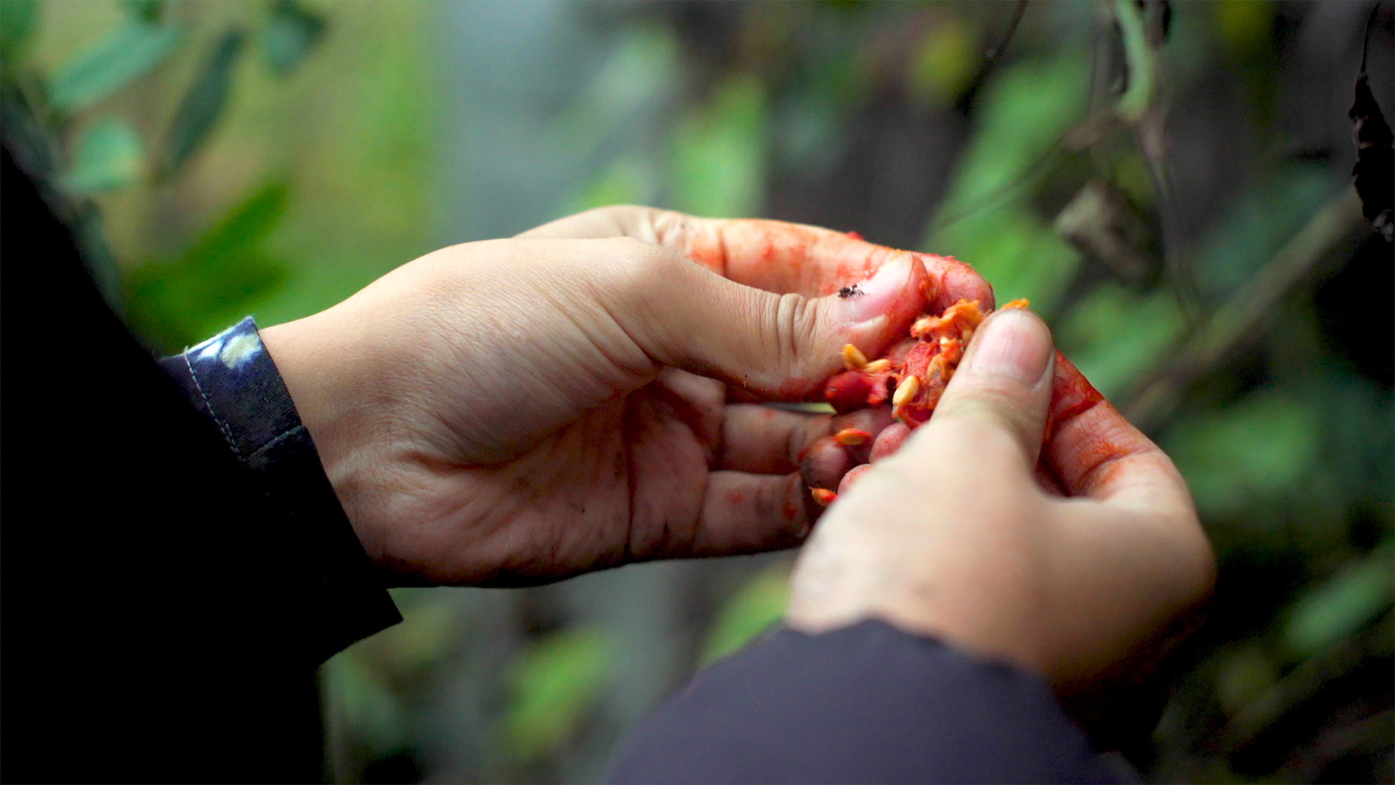 Rehana Zaman, Your Ecstatic Self, (video still), 2019. Courtesy of the artist