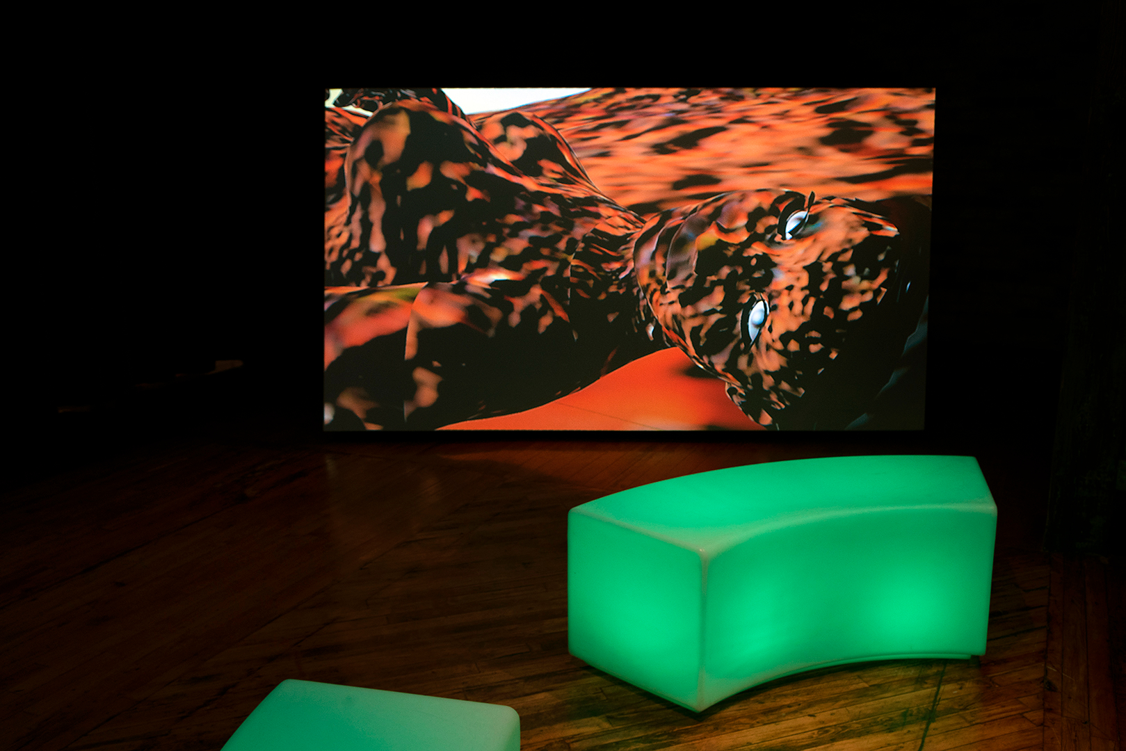     Rehana Zaman, Jupiter in Aries, Moon in Virgo, installation view, Trinity Square Video, 2021. Courtesy of the artist and Trinity Square Video. Photo: Yuula Benivolski

