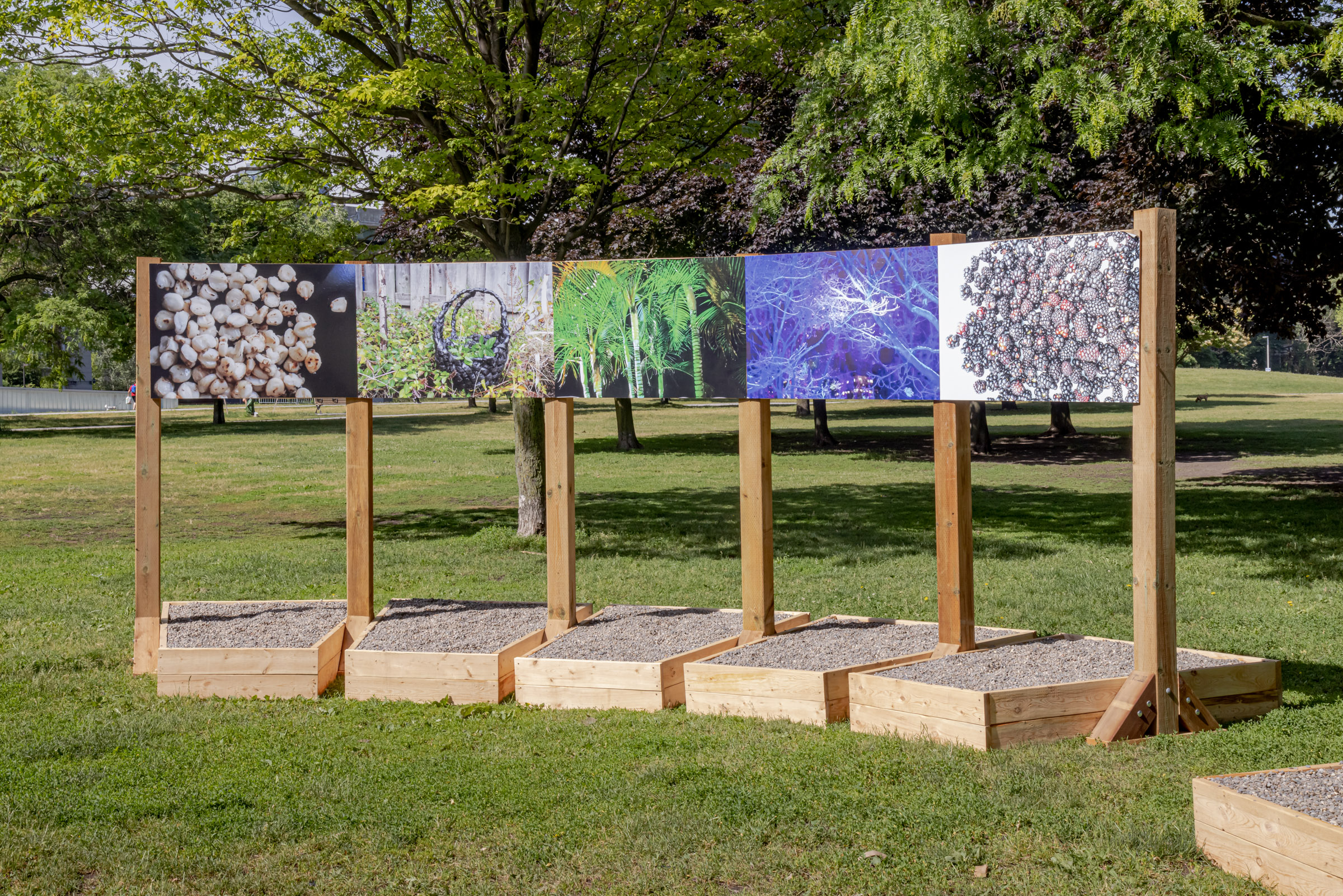     Group exhibition, Force Field, installation at Fort York National Historic Site, Garrison Common, Toronto, 2021. Courtesy of the artists and CONTACT. Photo: Toni Hafkenscheid

