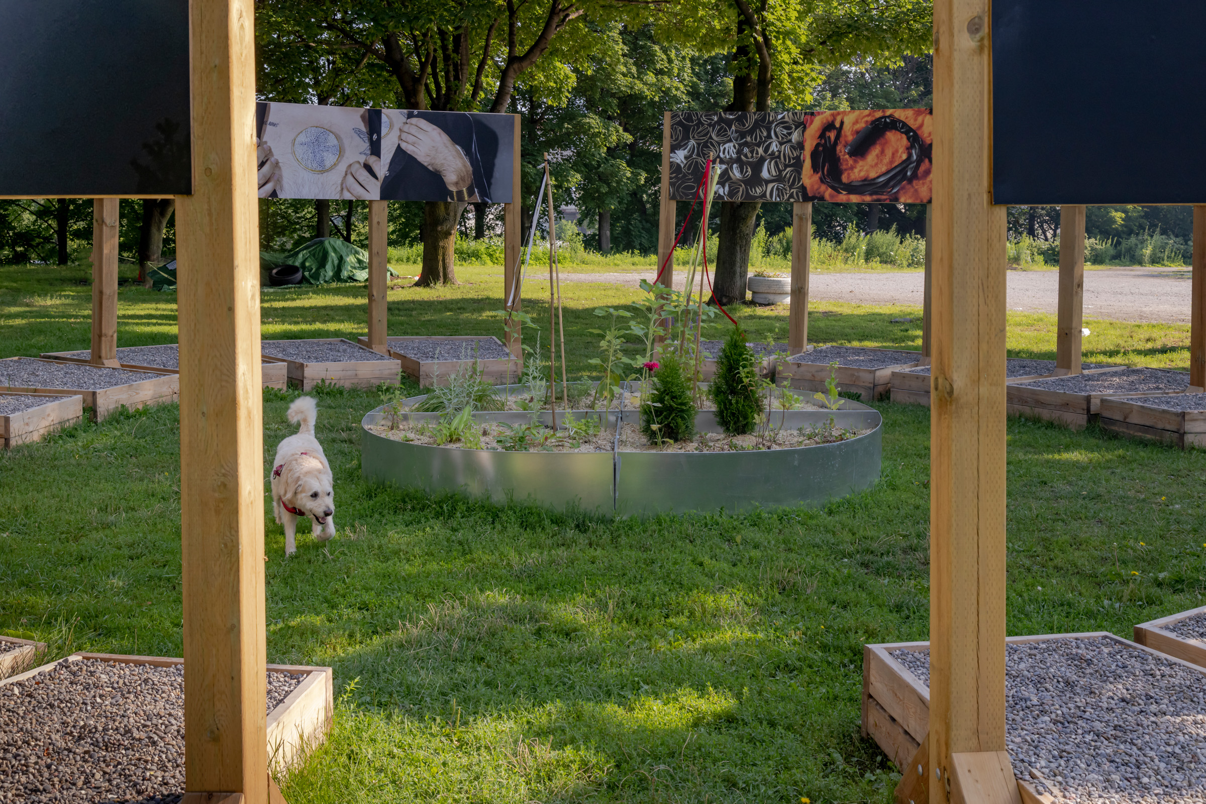     Group exhibition, Force Field, installation at Fort York National Historic Site, Garrison Common, Toronto, 2021. Courtesy of the artists and CONTACT. Photo: Toni Hafkenscheid

