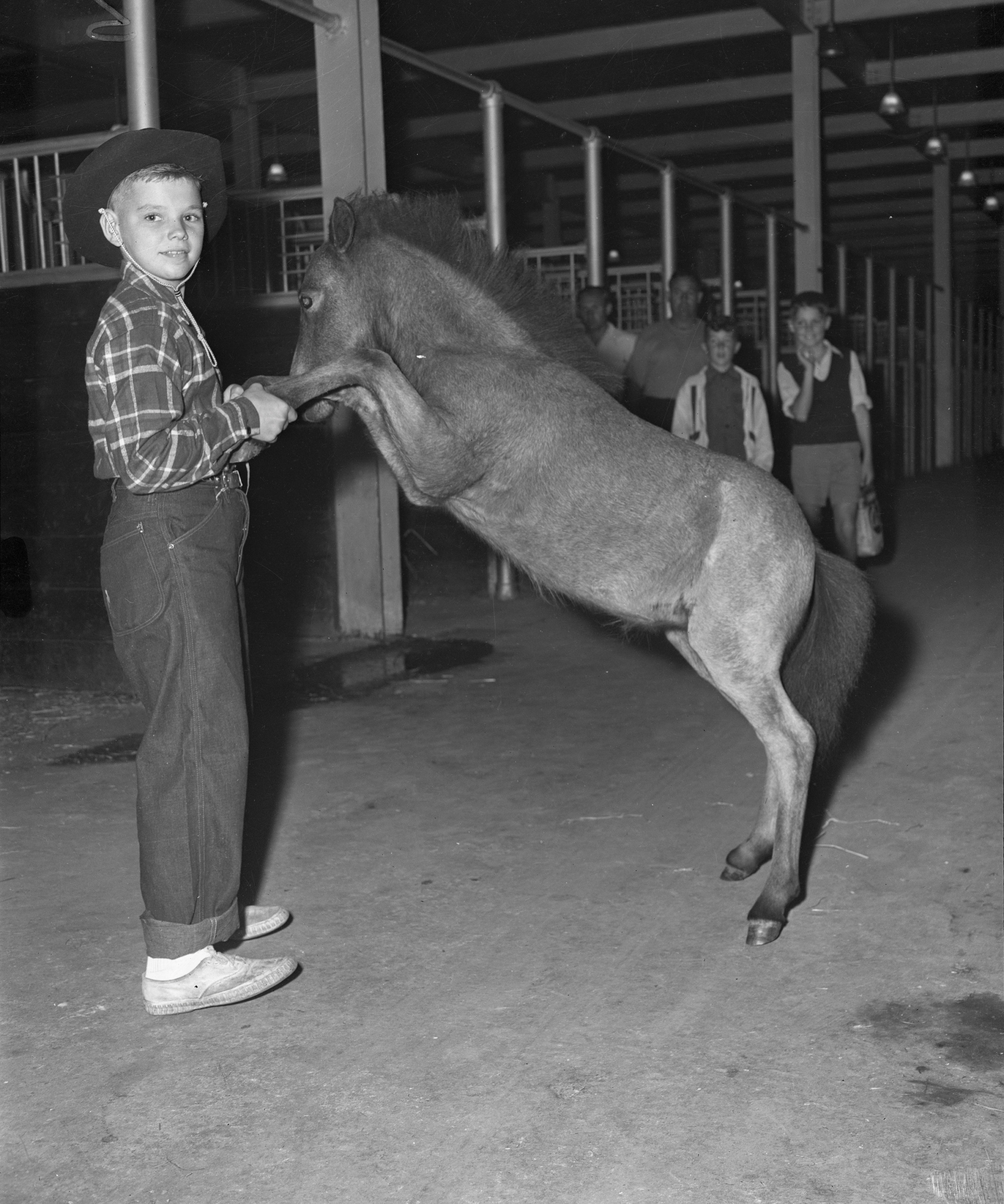 Agriculture-Horses, [190-] – [197-]. Canadian National Exhibition Archives, C1-S2-F6-I11. Courtesy of the CNEA