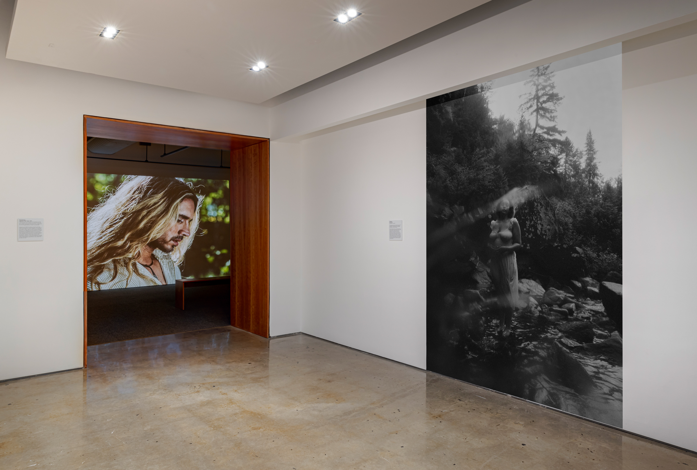    Group exhibition, Now You See Me, installation view, Doris McCarthy Gallery, 2022. Courtesy of the artists and Doris McCarthy Gallery. Photo by Toni Hafkenscheid

