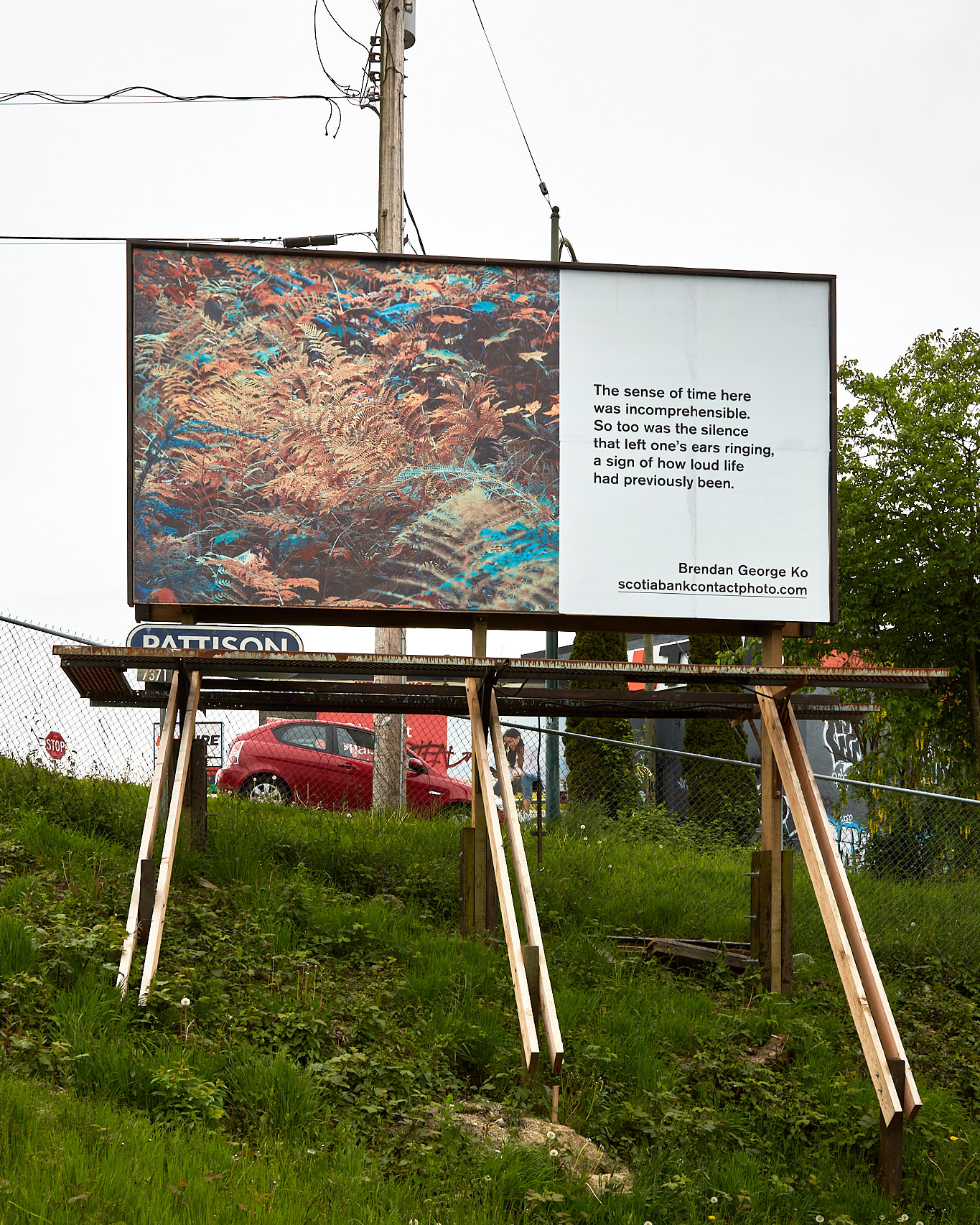     Brendan George Ko, The Forest is Wired for Wisdom, installation on billboards in Vancouver and 9 other Canadian cities, 2022. Courtesy of the artist and CONTACT. Photo: Seth Stevenson

