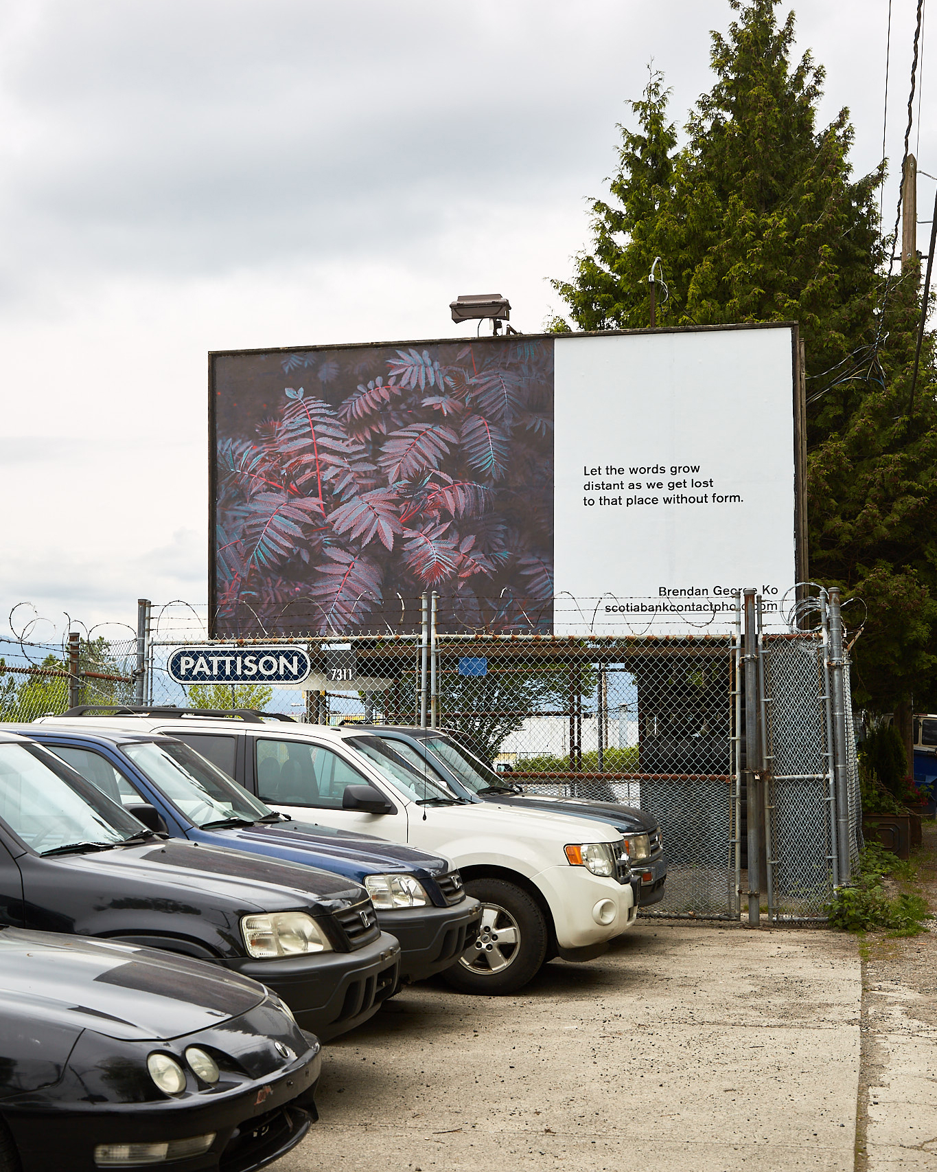     Brendan George Ko, The Forest is Wired for Wisdom, installation on billboards in Vancouver and 9 other Canadian cities, 2022. Courtesy of the artist and CONTACT. Photo: Seth Stevenson

