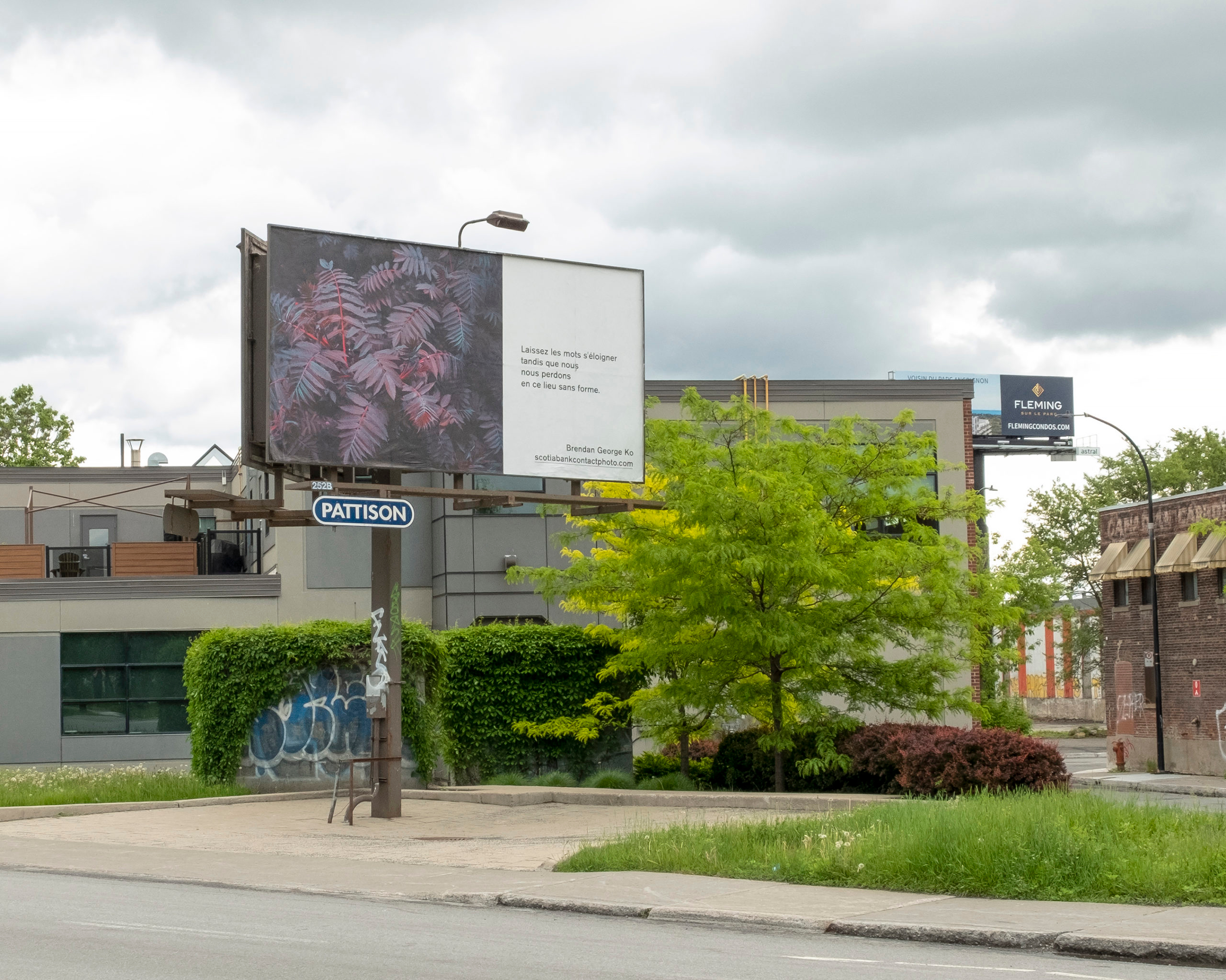     Brendan George Ko, The Forest is Wired for Wisdom, installation on billboards in Montreal and 9 other Canadian cities, 2022. Courtesy of the artist and CONTACT. Photo: Christopher Boyne

