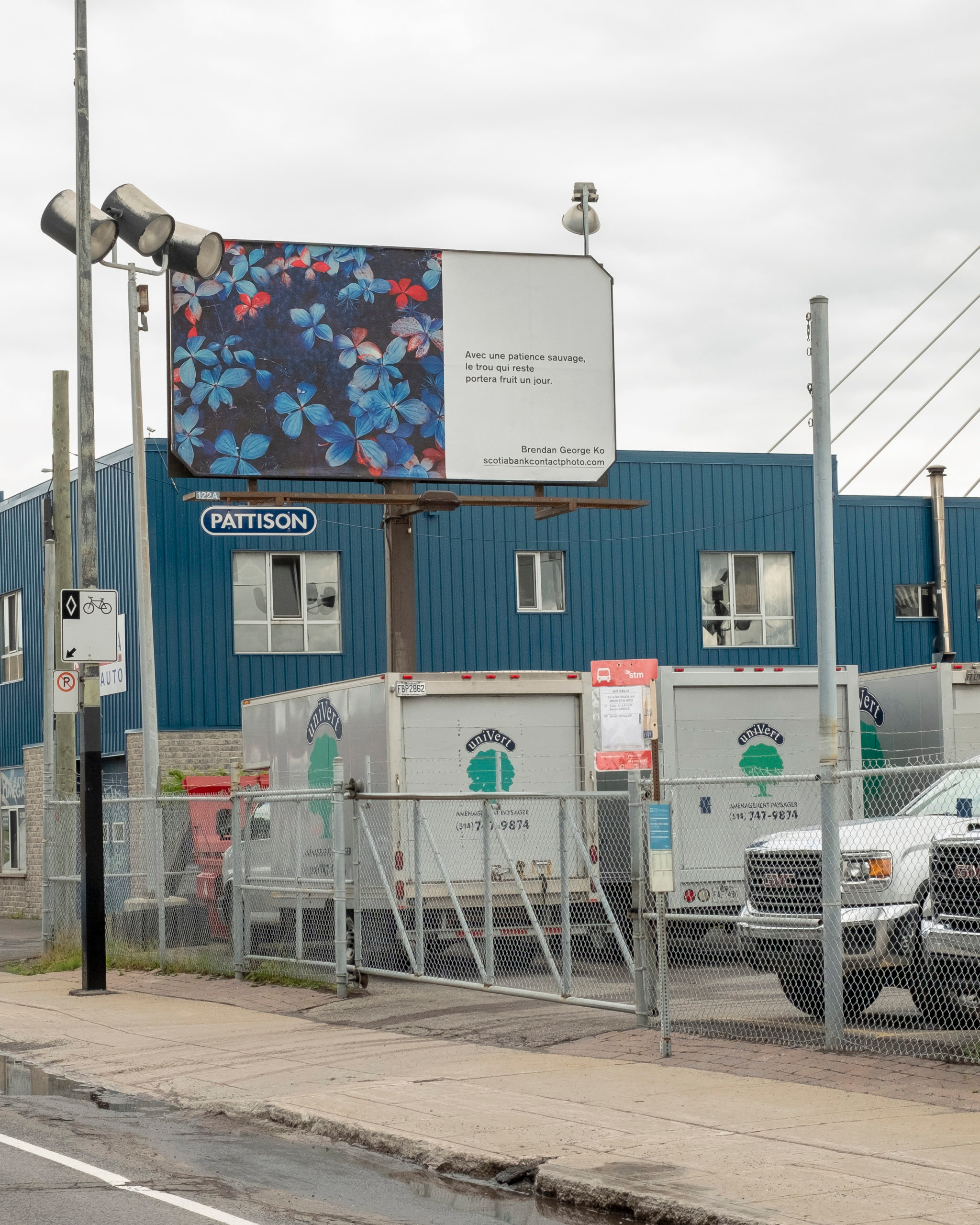     Brendan George Ko, The Forest is Wired for Wisdom, installation on billboards in Montreal and 9 other Canadian cities, 2022. Courtesy of the artist and CONTACT. Photo: Christopher Boyne

