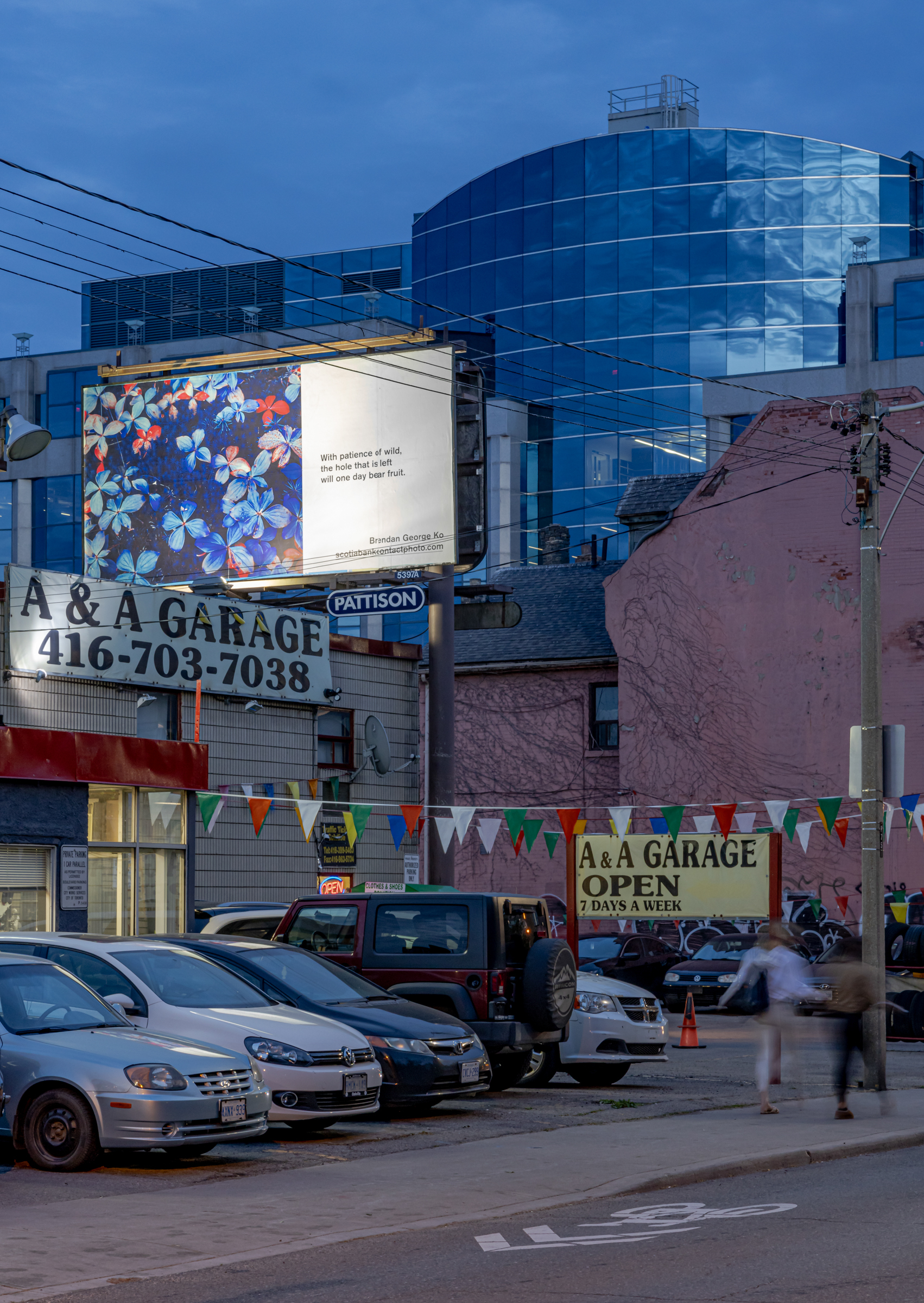     Brendan George Ko, The Forest is Wired for Wisdom, installation on billboards in Toronto and 9 other Canadian cities, 2022. Courtesy of the artist and CONTACT. Photo: Toni Hafkenscheid

