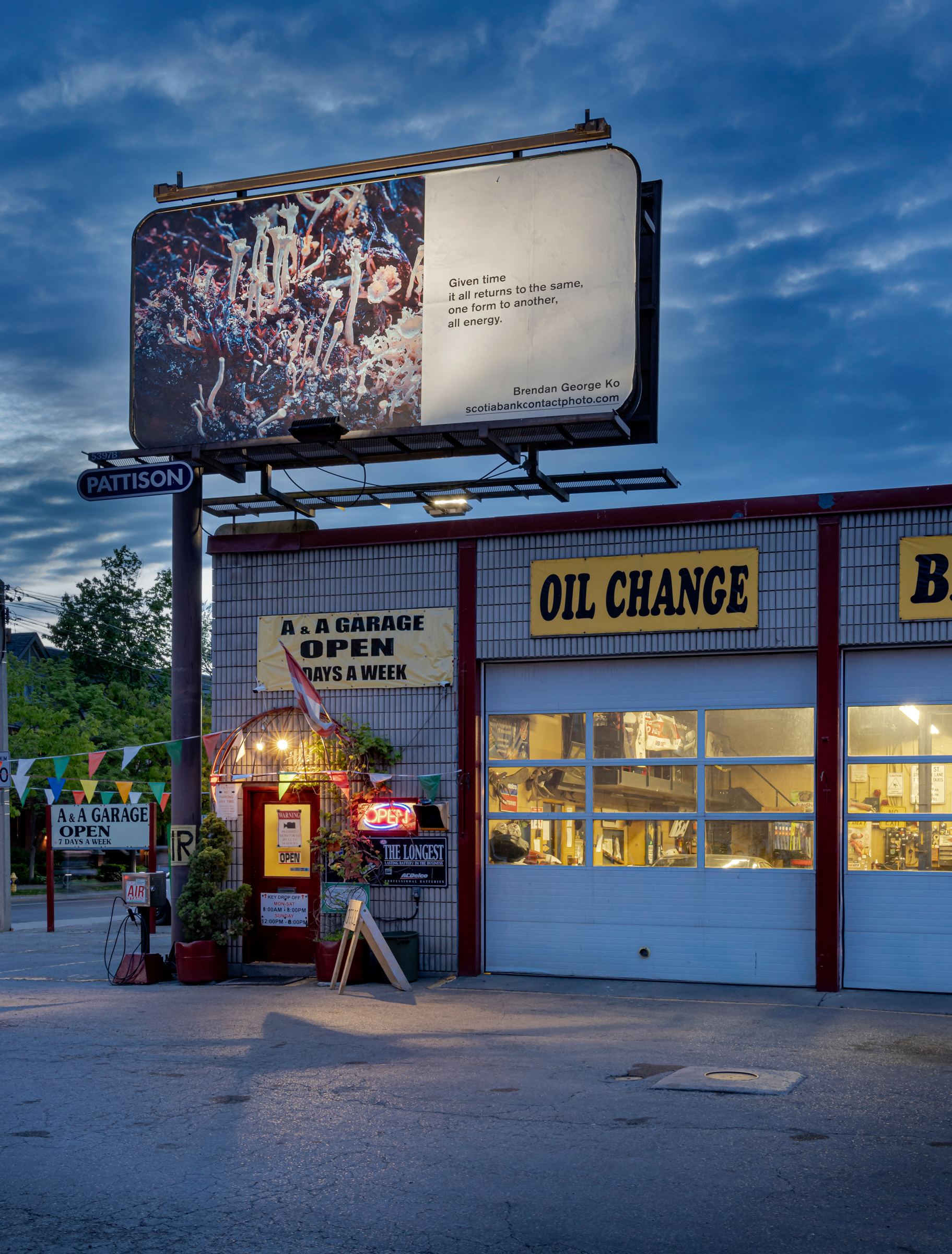     Brendan George Ko, The Forest is Wired for Wisdom, installation on billboards in Toronto and 9 other Canadian cities, 2022. Courtesy of the artist and CONTACT. Photo: Toni Hafkenscheid

