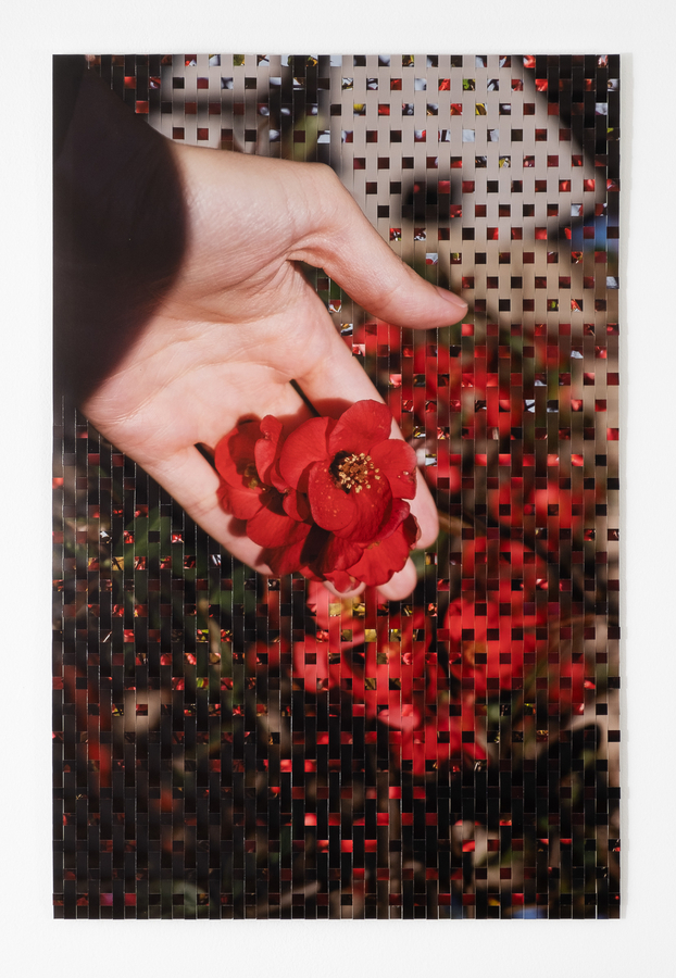 Fiona Freemark, Quince No. 1, (woven photographs) 2022. Courtesy of the artist