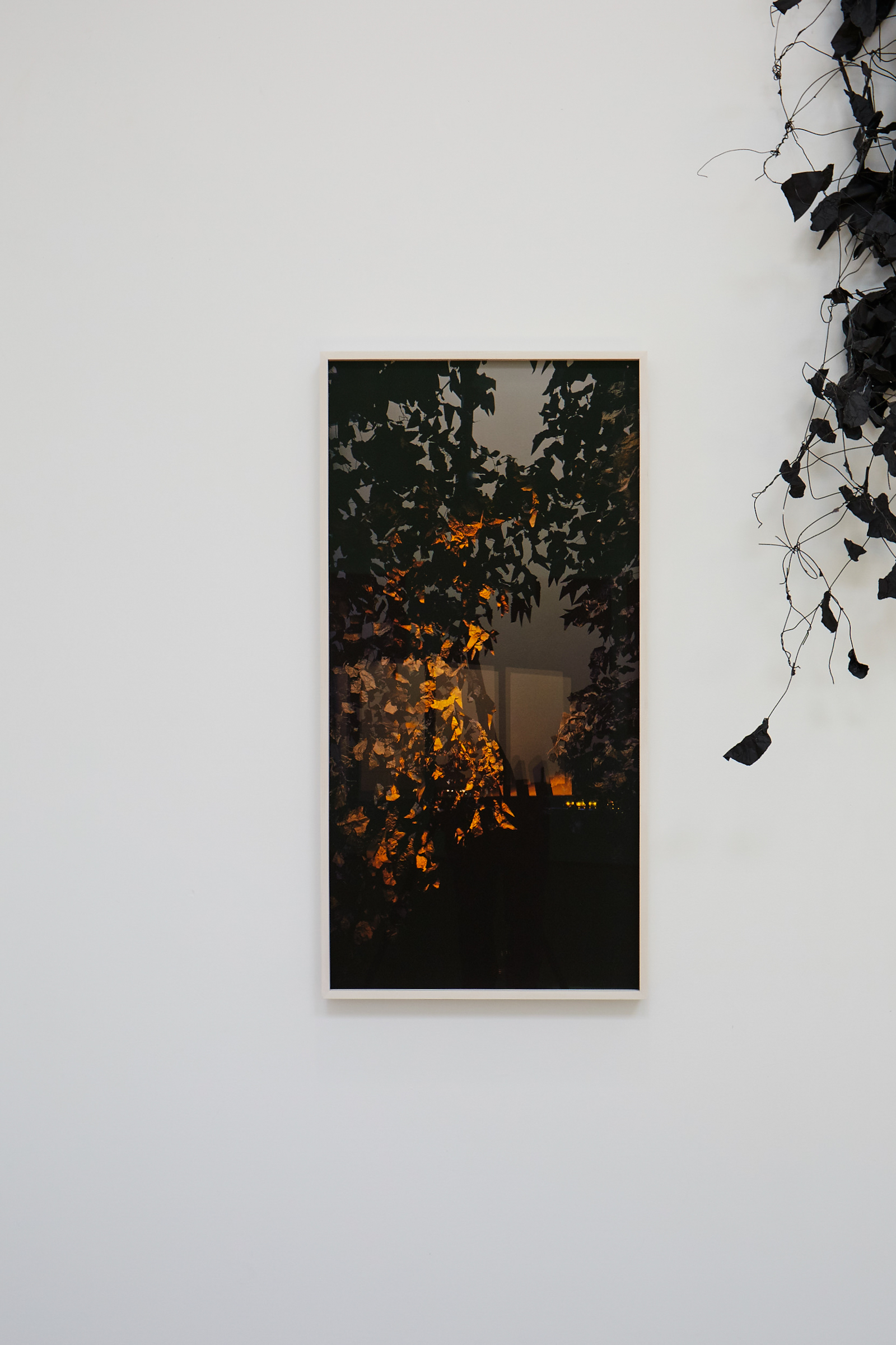     Adam Swica, Daybreak, installation view, Christie Contemporary, 2022. Courtesy of the artist and Christie Contemporary

