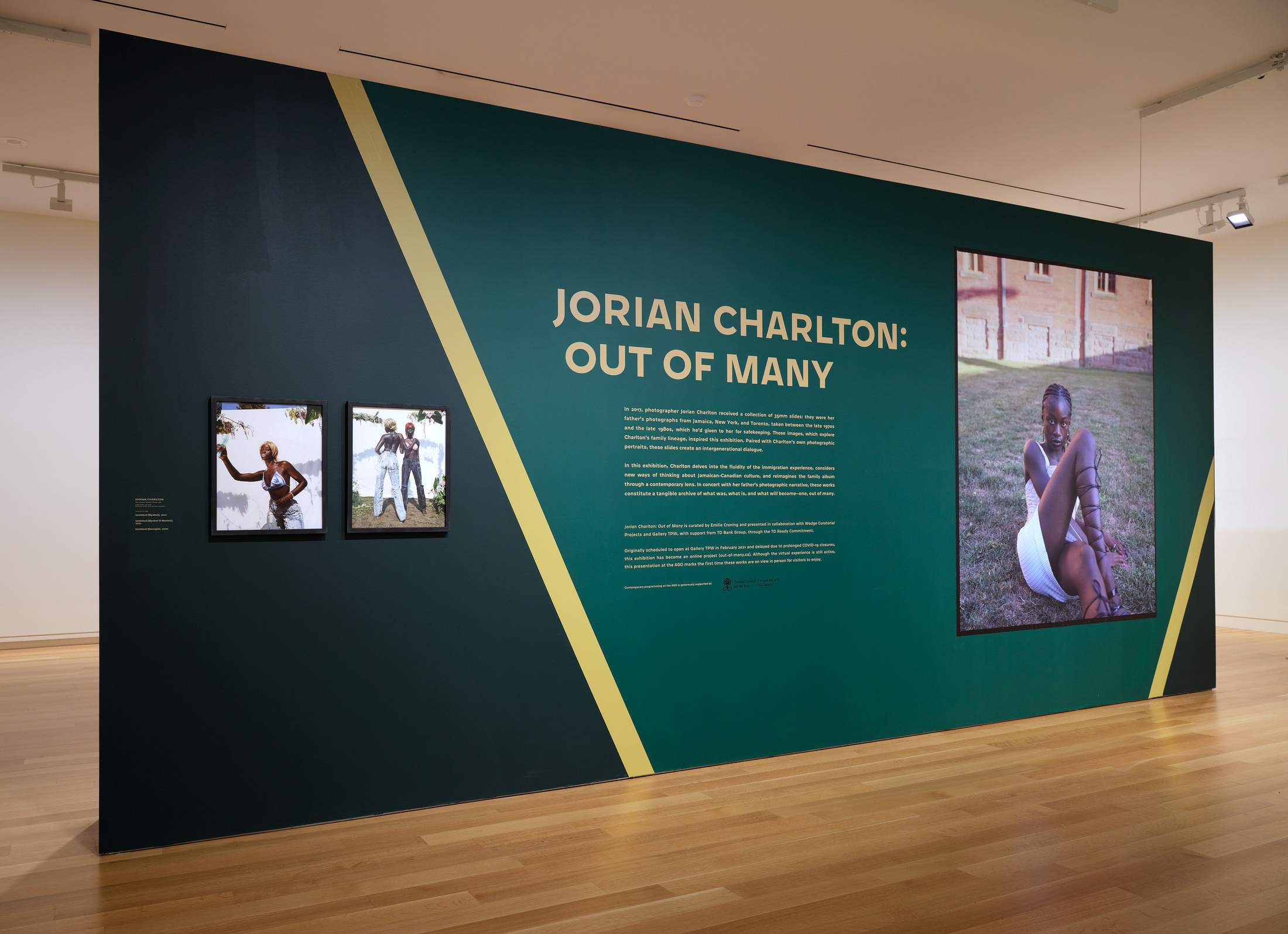     Jorian Charlton, Out of Many, installation view, Art Gallery of Ontario, 2021–22. Artworks © Jorian Charlton. Photo © AGO

