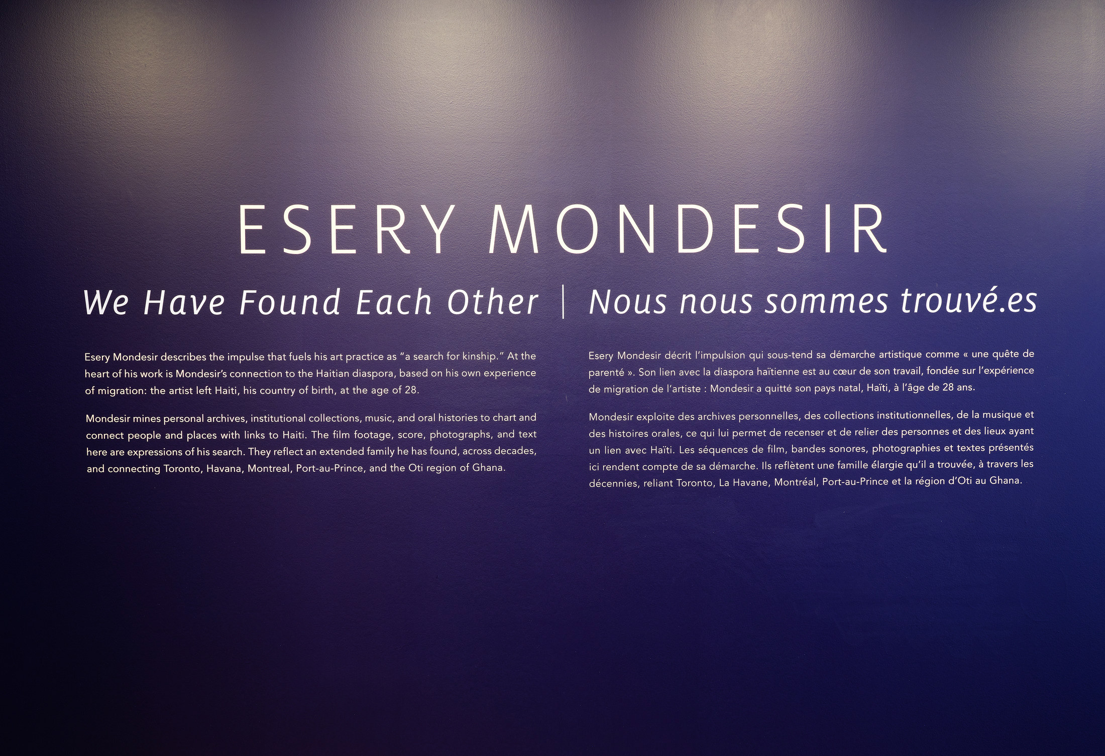     Esery Mondesir, We Have Found Each Other, installation view, Art Gallery of Ontario, 2021–22. Artworks © Esery Mondesir. Photo © AGO

