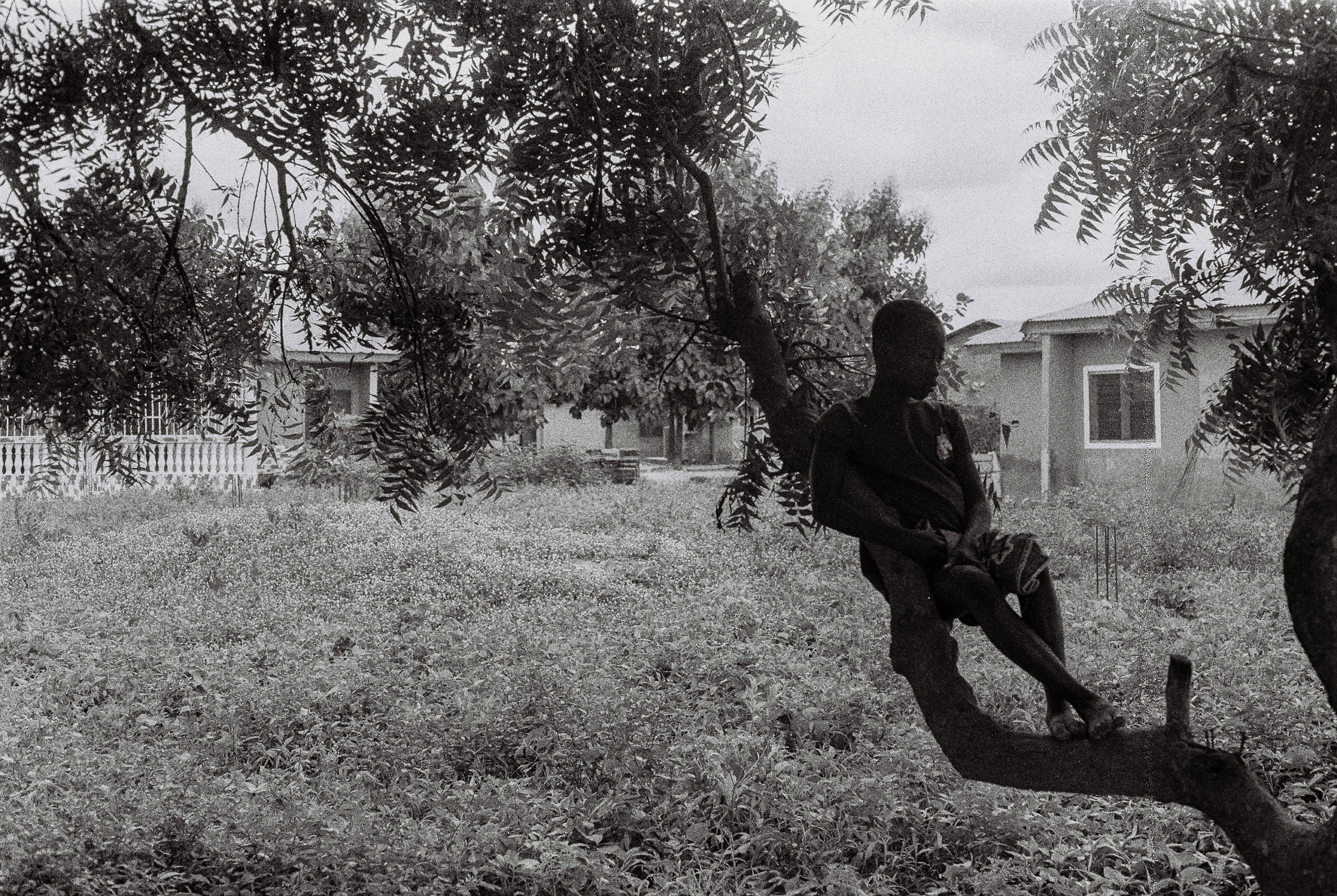     Delali Cofie, The Boy In His Tree, 2021

