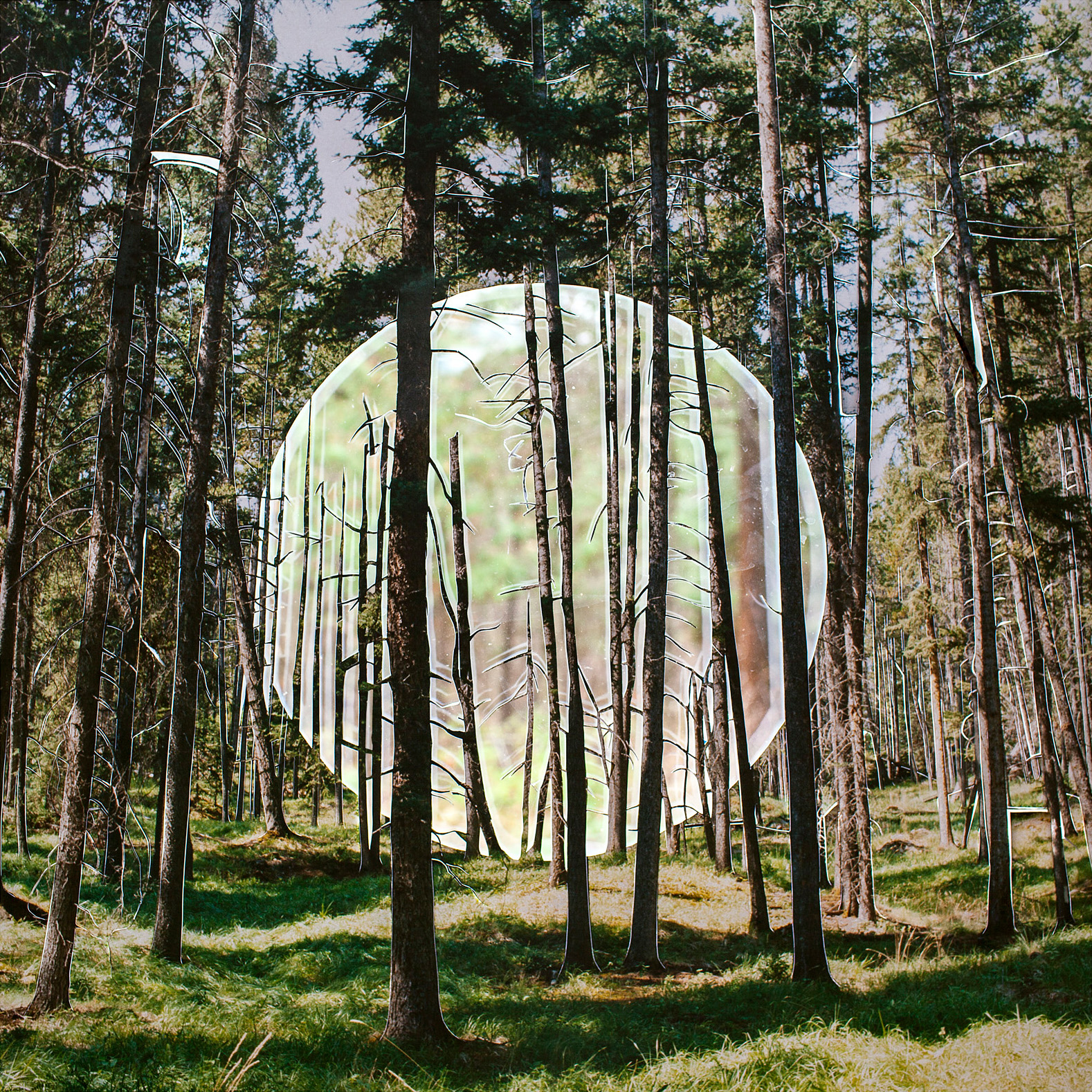     Becky Comber, Forest Orb, 2017. Courtesy of the artist

