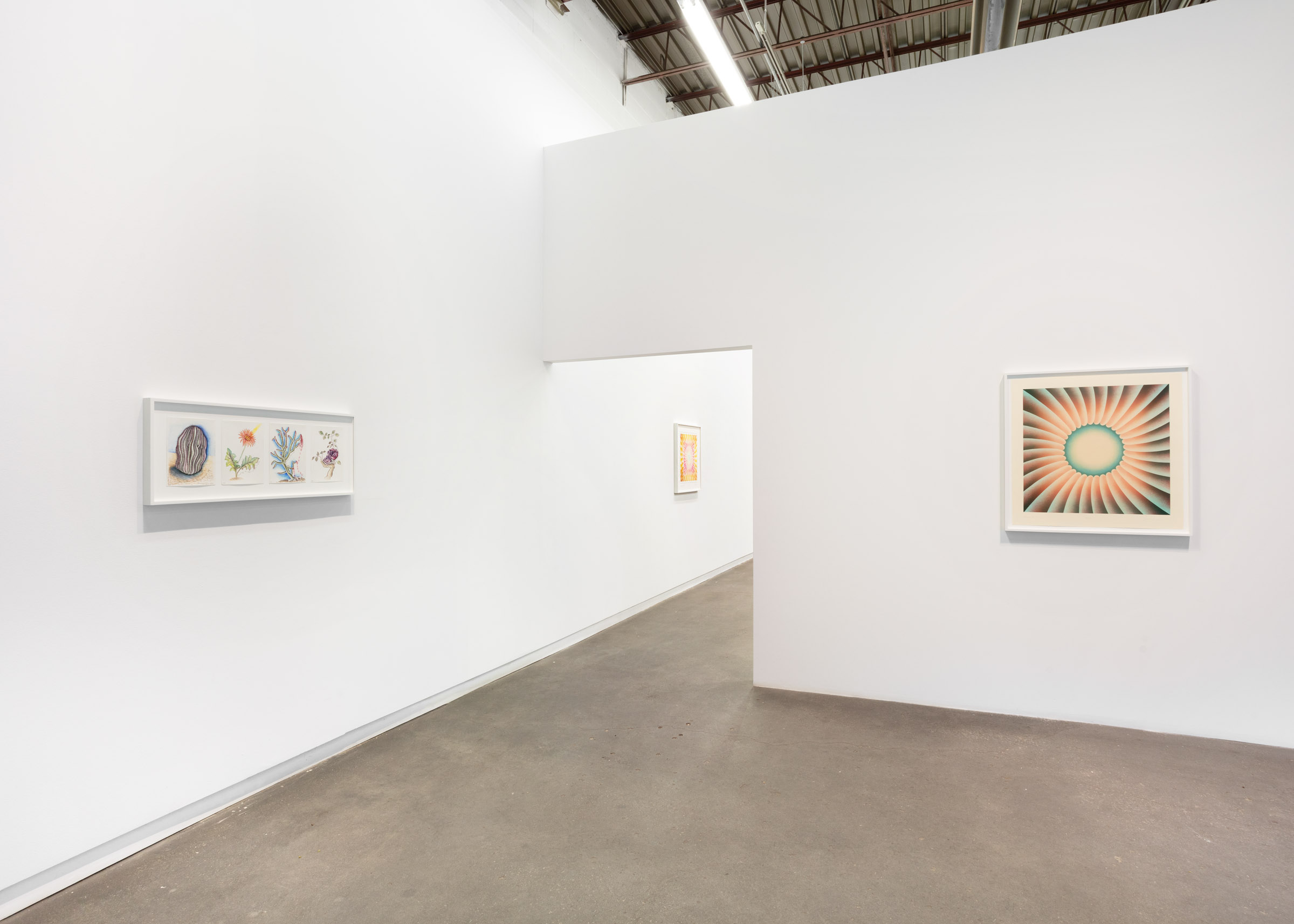     Judy Chicago, The Natural World, installation view, Daniel Faria Gallery, 2022. Courtesy of the artist and Daniel Faria Gallery

