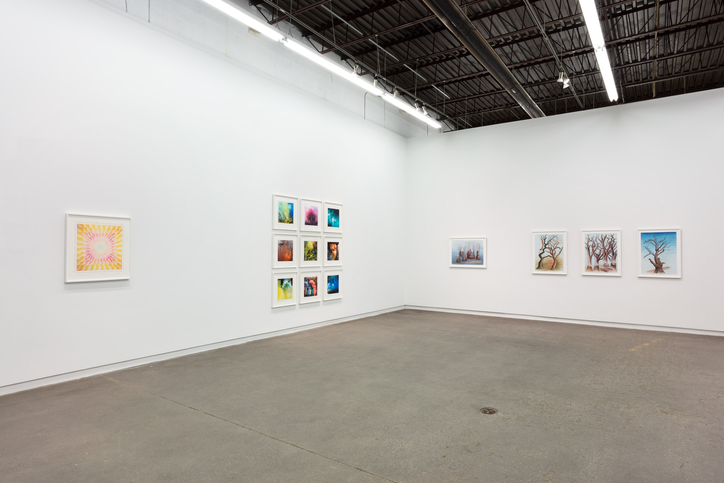     Judy Chicago, The Natural World, installation view, Daniel Faria Gallery, 2022. Courtesy of the artist and Daniel Faria Gallery

