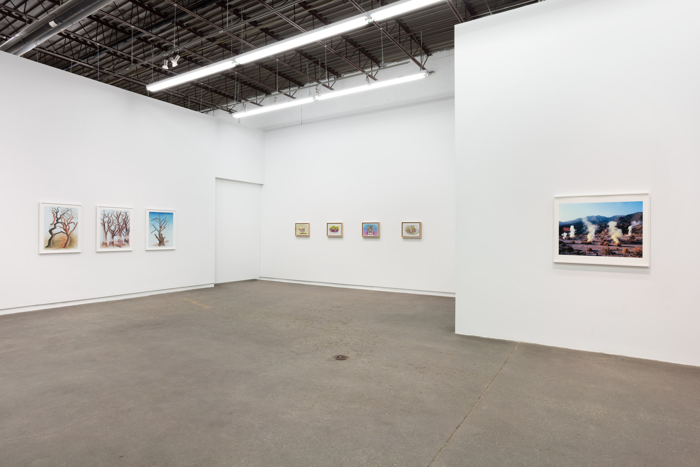     Judy Chicago, The Natural World, installation view, Daniel Faria Gallery, 2022. Courtesy of the artist and Daniel Faria Gallery

