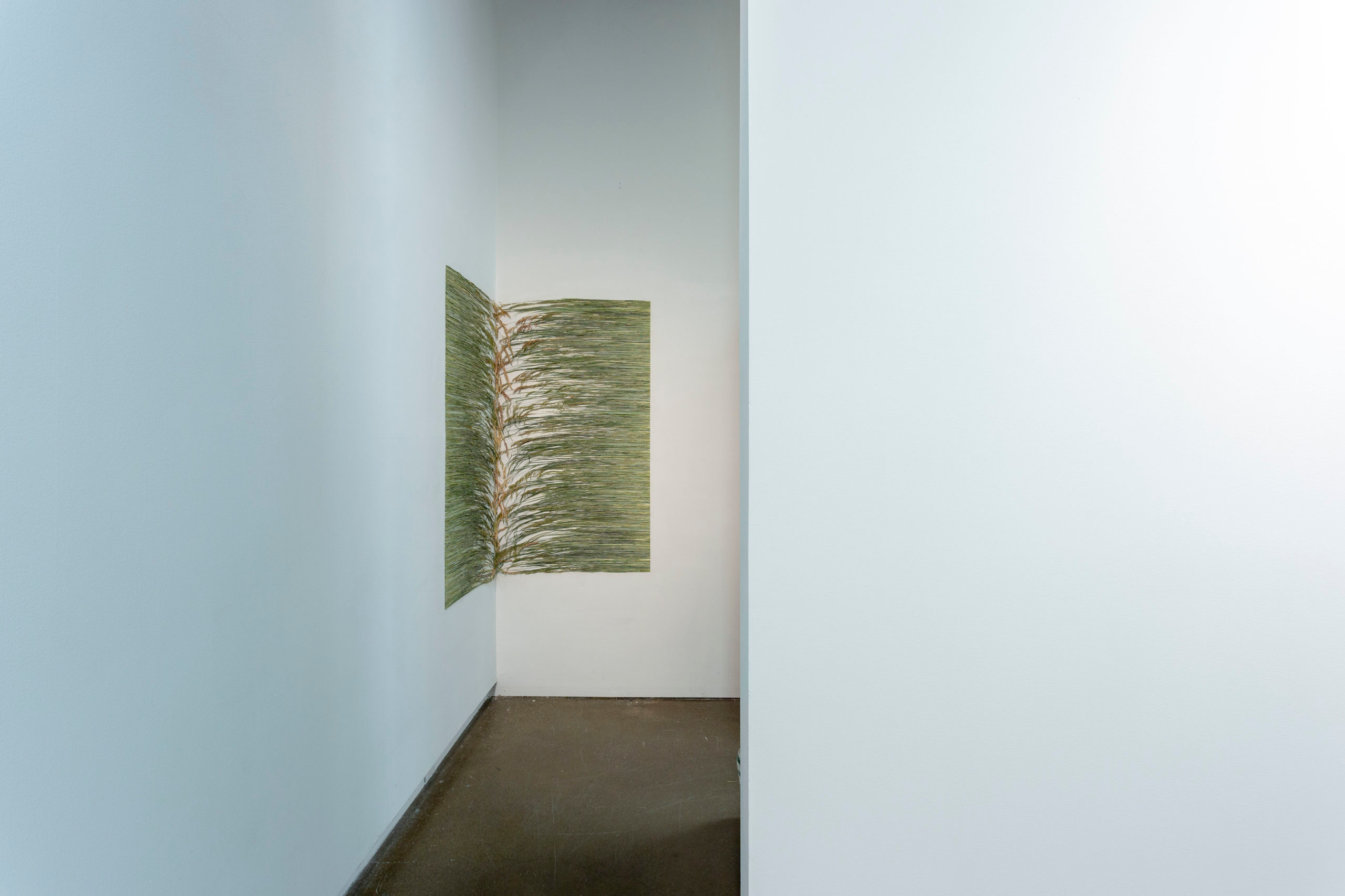     Group exhibition, a soft landing, installation view, Gallery TPW, 2022. Courtesy of the artists and Gallery TPW

