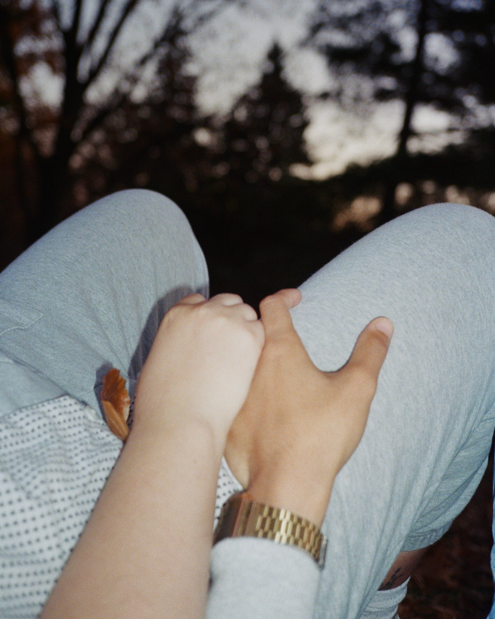     Stephen Attong, Holding Hands in High Park, 2020

